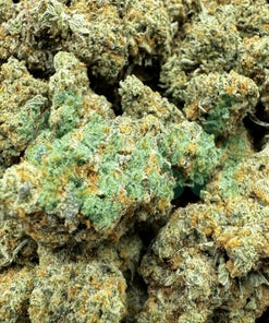 Congo Bongo | Sativa | Kush Station | Buy Weed Online In Canada