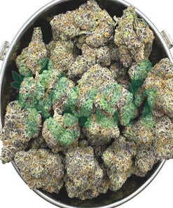 Purple Gelato | Hybrid | Kush Station | Buy Weed Online In Canada