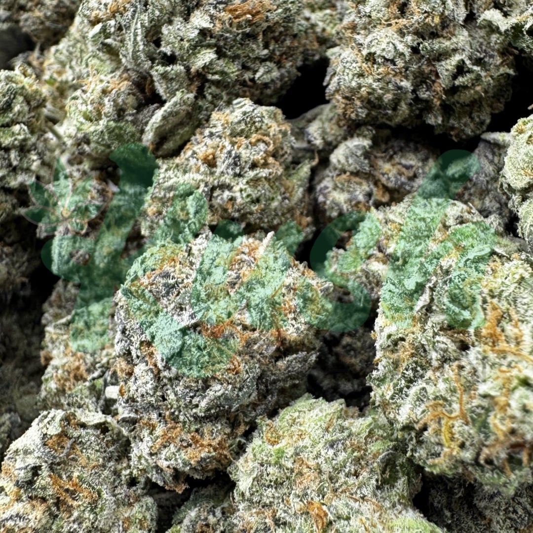 Northern Lights | Indica | Kush Station | Buy Weed Online In Canada