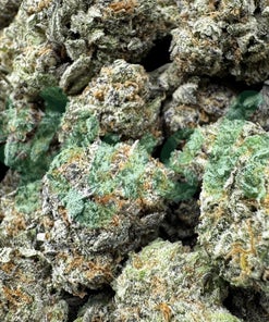 Northern Lights | Indica | Kush Station | Buy Weed Online In Canada