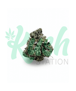 Blackberry | Hybrid | Kush Station | Buy Weed Online In Canada