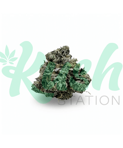 Blackberry | Hybrid | Kush Station | Buy Weed Online In Canada