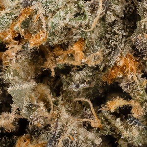 Gelonade (Cream Of The Crop) - Image 6