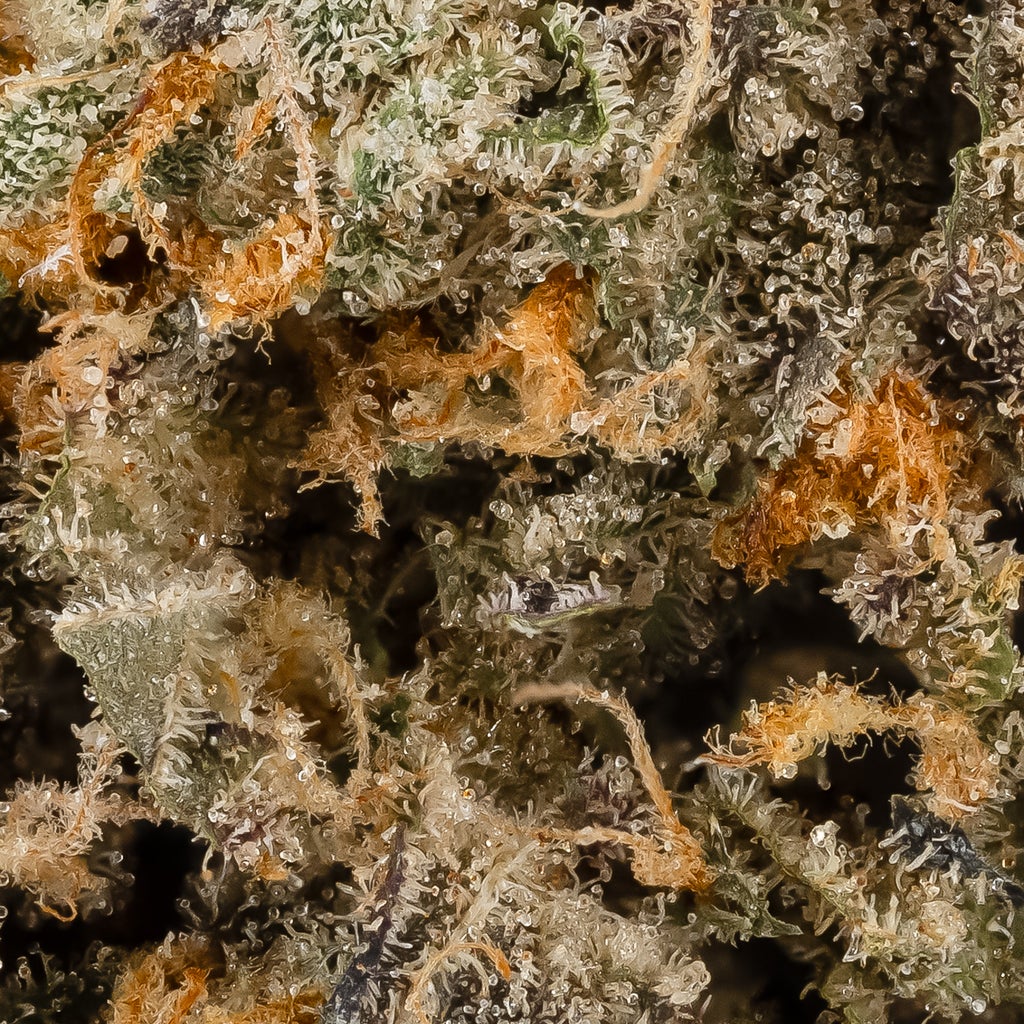 Gelonade (Cream Of The Crop)