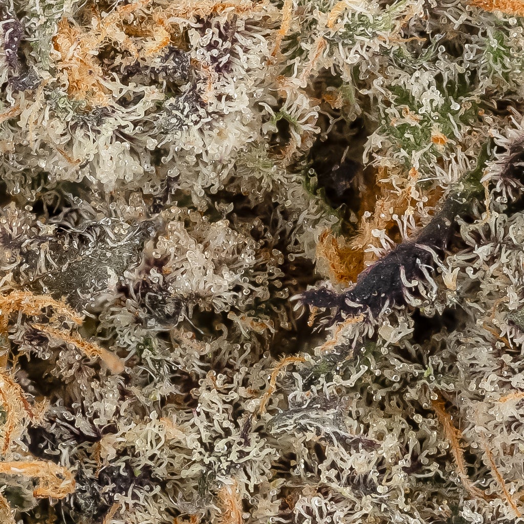 Rainbow Punch (Cream Of The Crop)