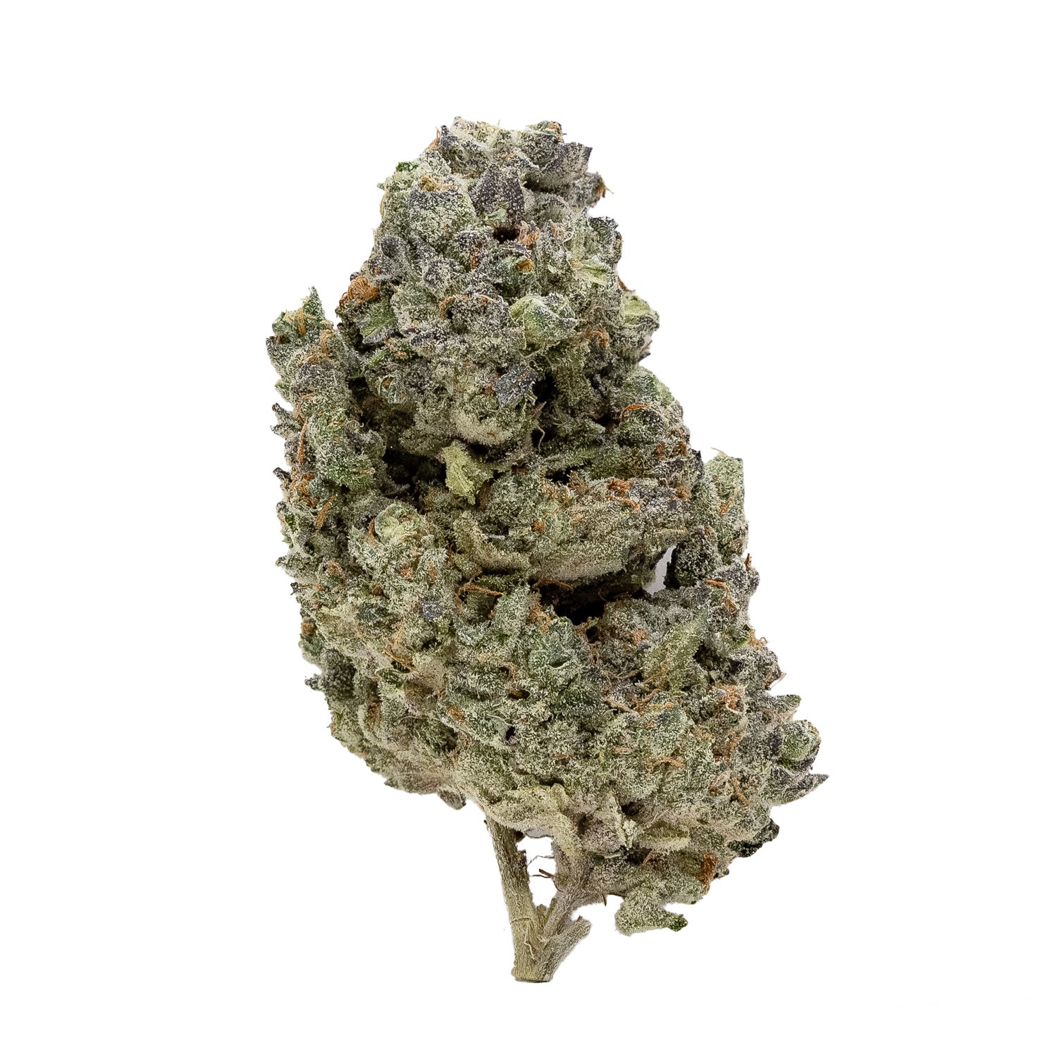 Oreoz-CreamoftheCrop-03.jpg
