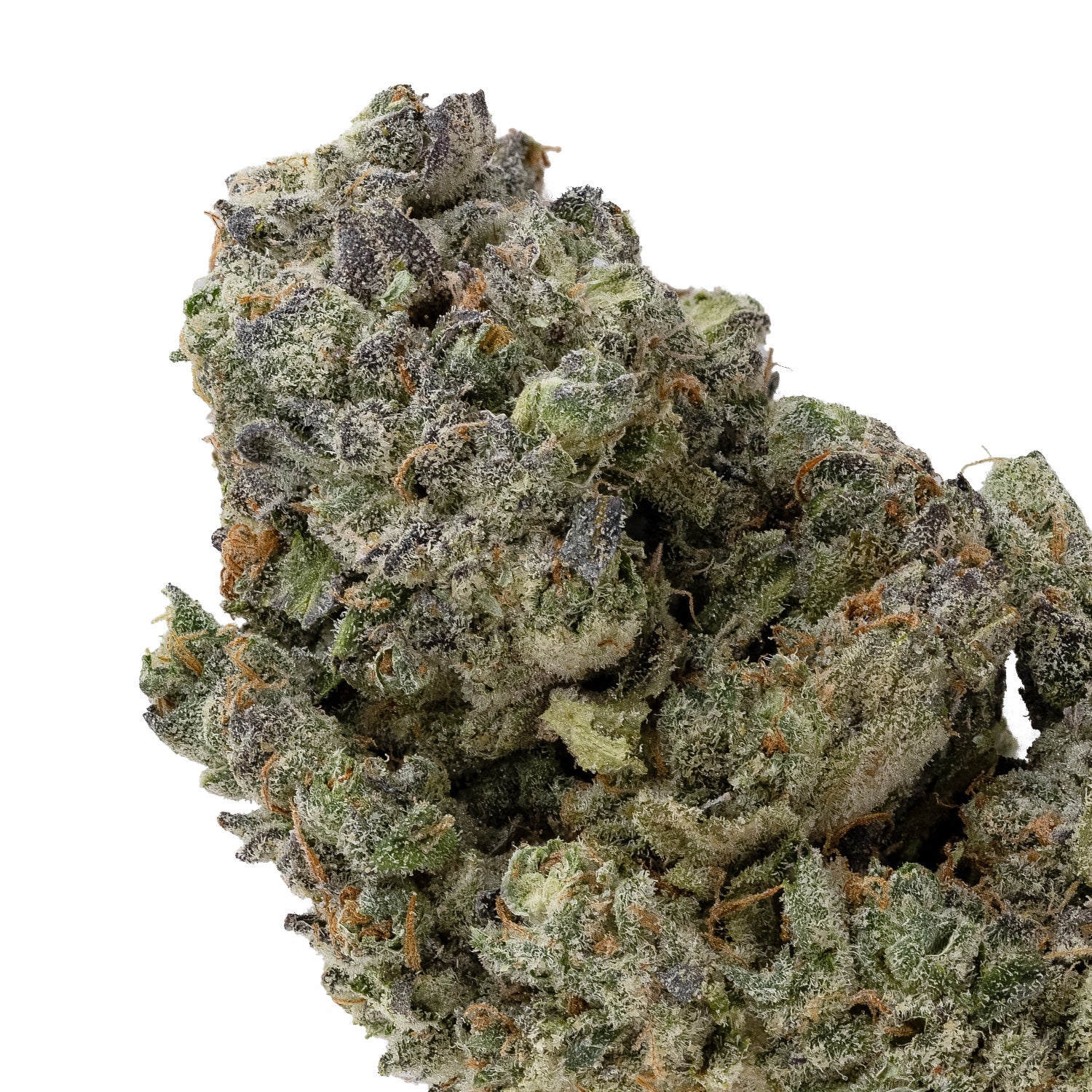 Oreoz-CreamoftheCrop-04.jpg