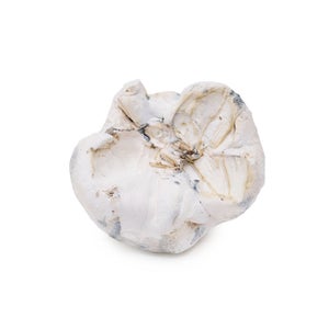 Amazeballs - Alien Bubbles (XL) - Image 2