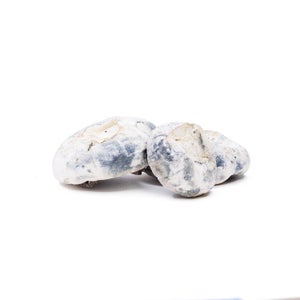 Amazeballs - Bluey Vuitton - Image 2