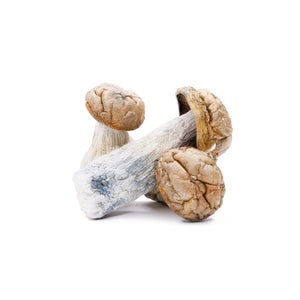 Amazeballs - DC Mac (XL) - Image 2
