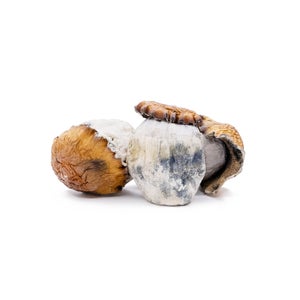 Amazeballs - King Kong (XL) - Image 2