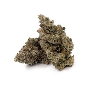Albatross - Gas Truffle - Image 2