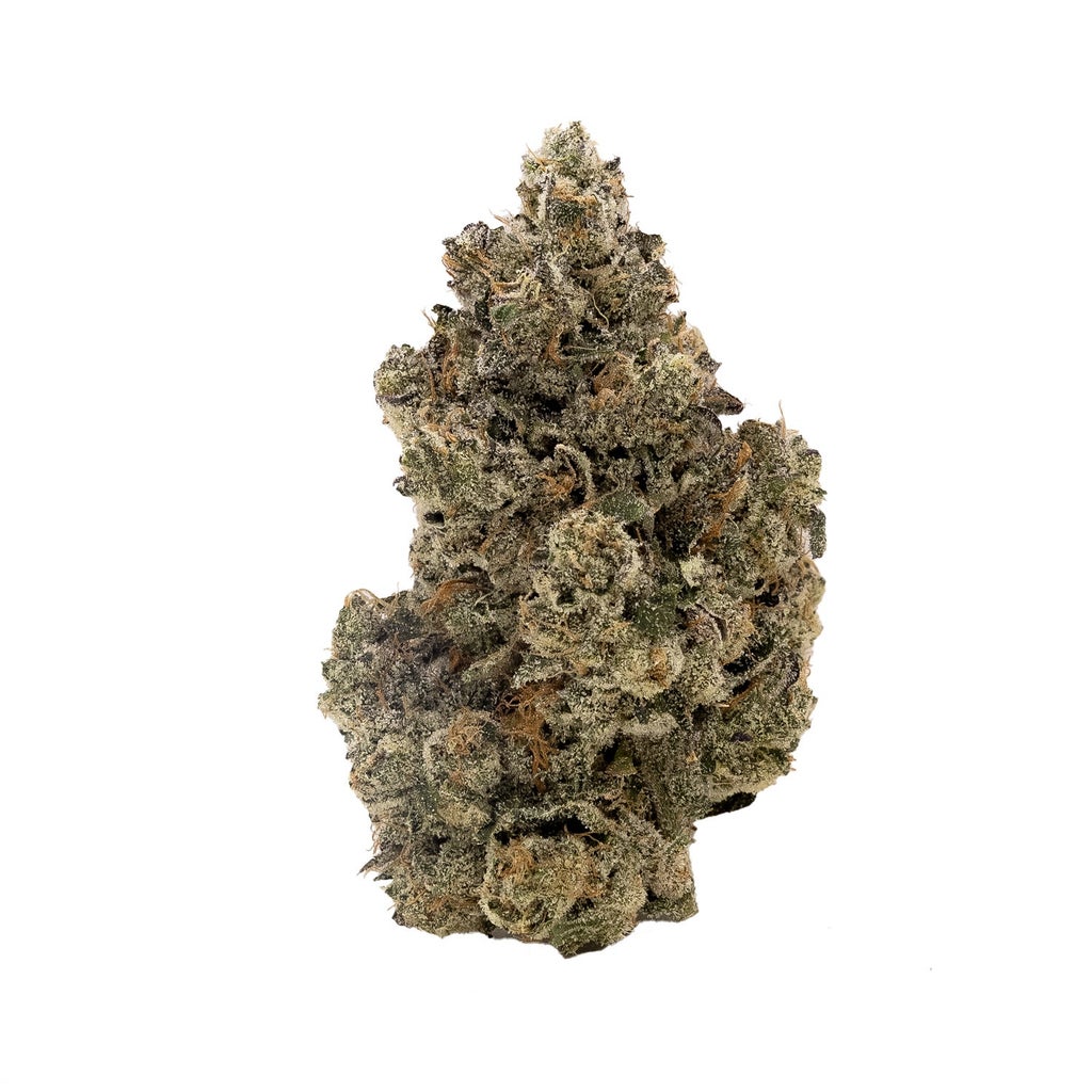 Albatross - Gas Truffle