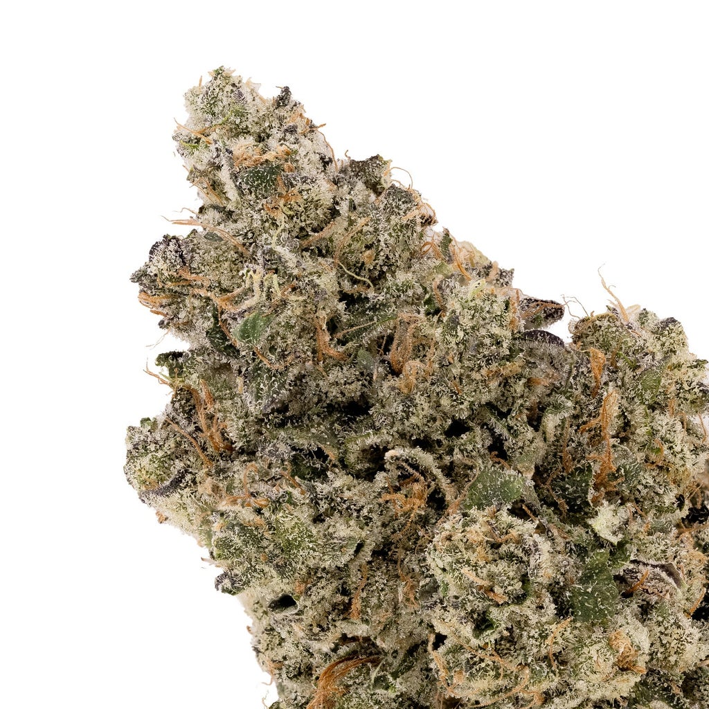 Albatross - Gas Truffle