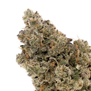 Albatross - Gas Truffle - Image 4