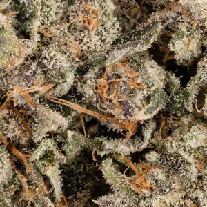 Albatross - Gas Truffle - Image 6