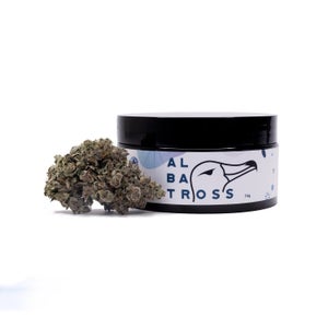 Albatross - Gas Truffle - Image 7
