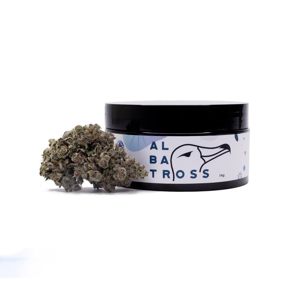 Albatross - Gas Truffle
