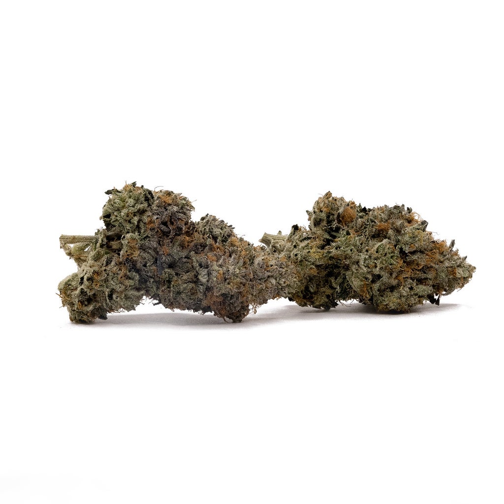 Albatross - Original Purple Kush