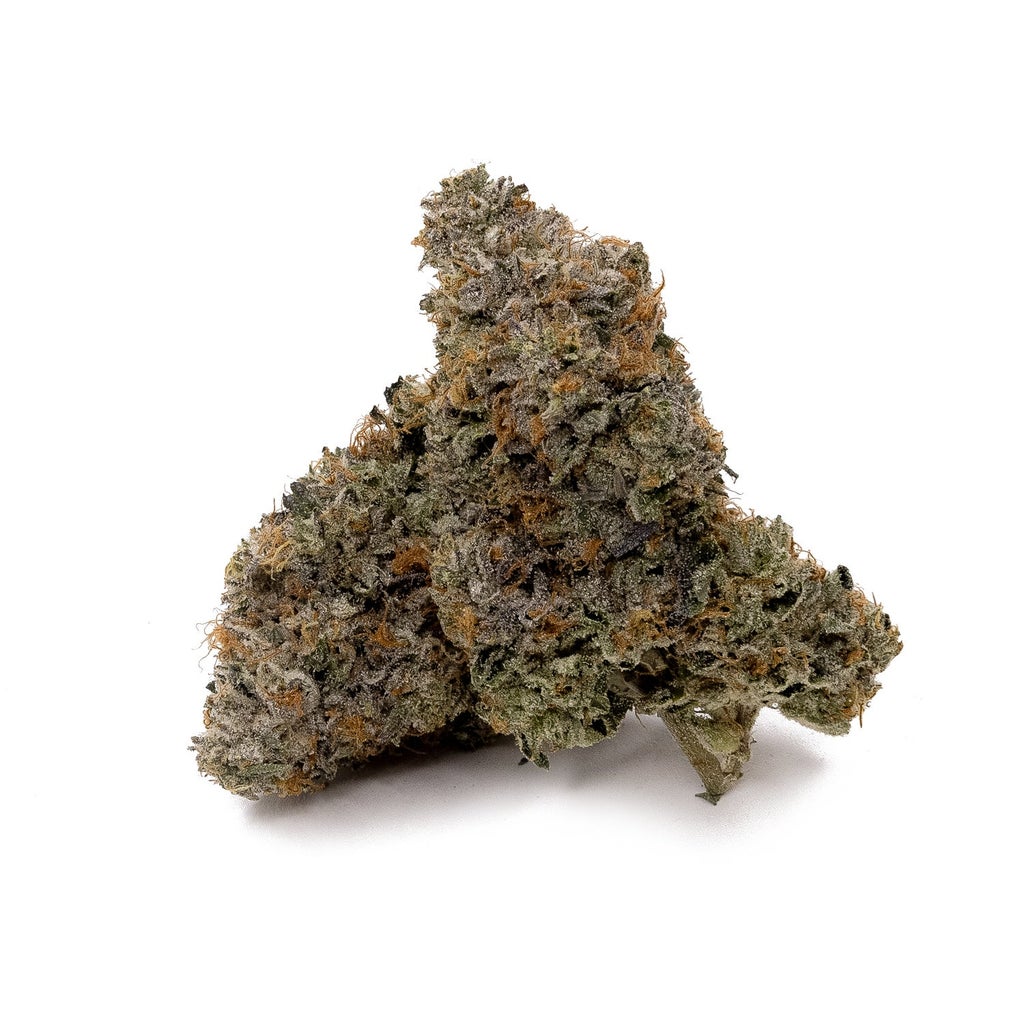 Albatross - Original Purple Kush
