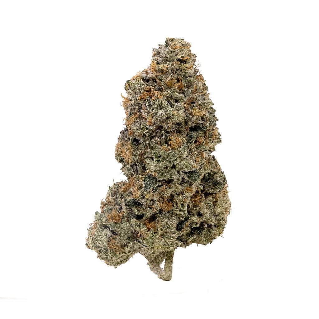 Albatross - Original Purple Kush