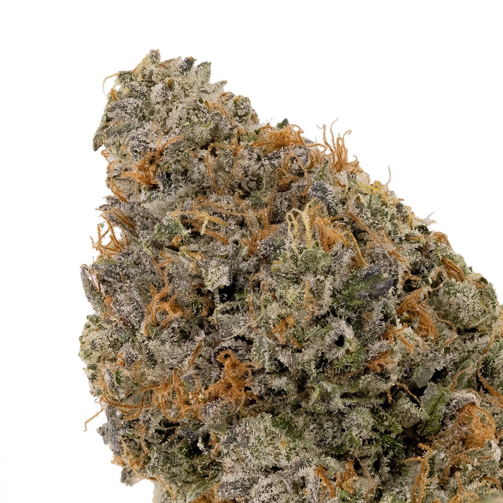 Albatross - Original Purple Kush