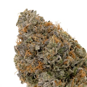 Albatross - Original Purple Kush - Image 4
