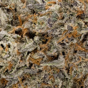 Hoot Cannabis - Purple Pineapple - Image 6