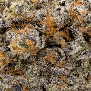 MuM's Cannabis - War Bird - Image 5
