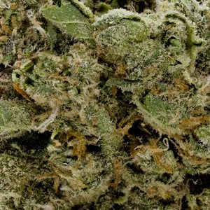 Hoot Cannabis - Cactus Haze - Image 6