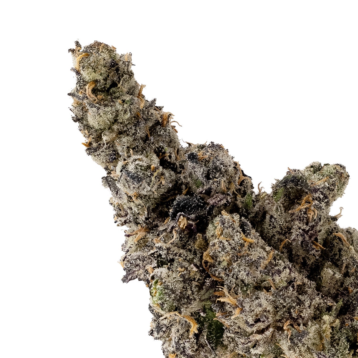 CherryGas-CreamoftheCrop-04