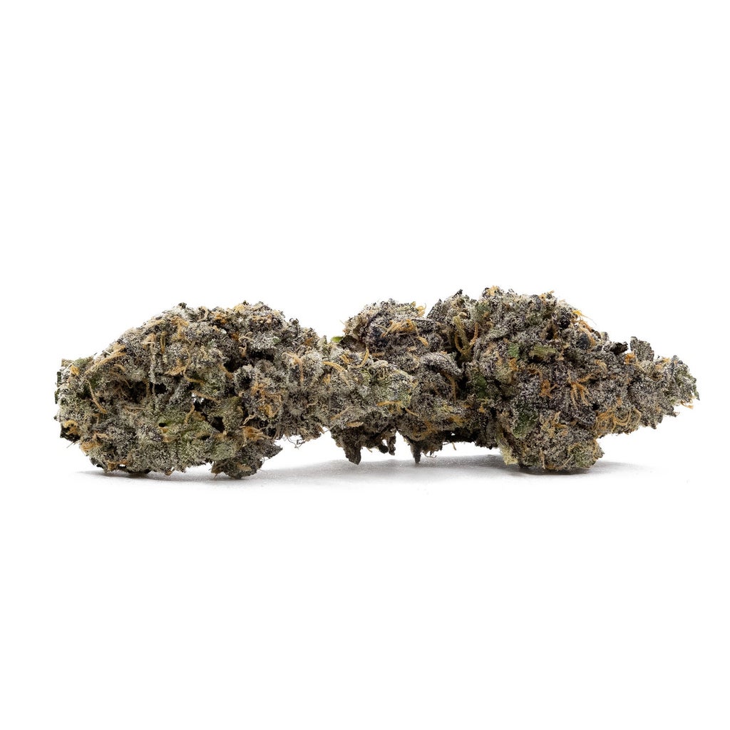 Rainbow Chip (Jungle Ridge)