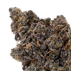 Wojo Mints (Jungle Ridge) - Image 4