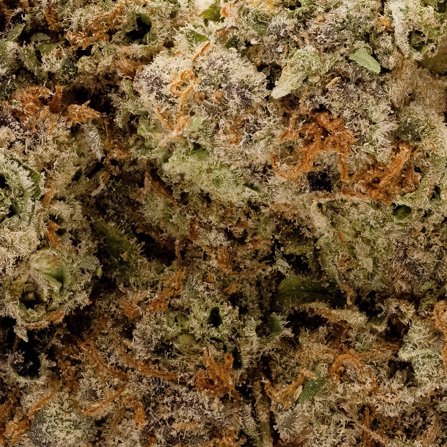 cream of the crop – strawberry jam 2