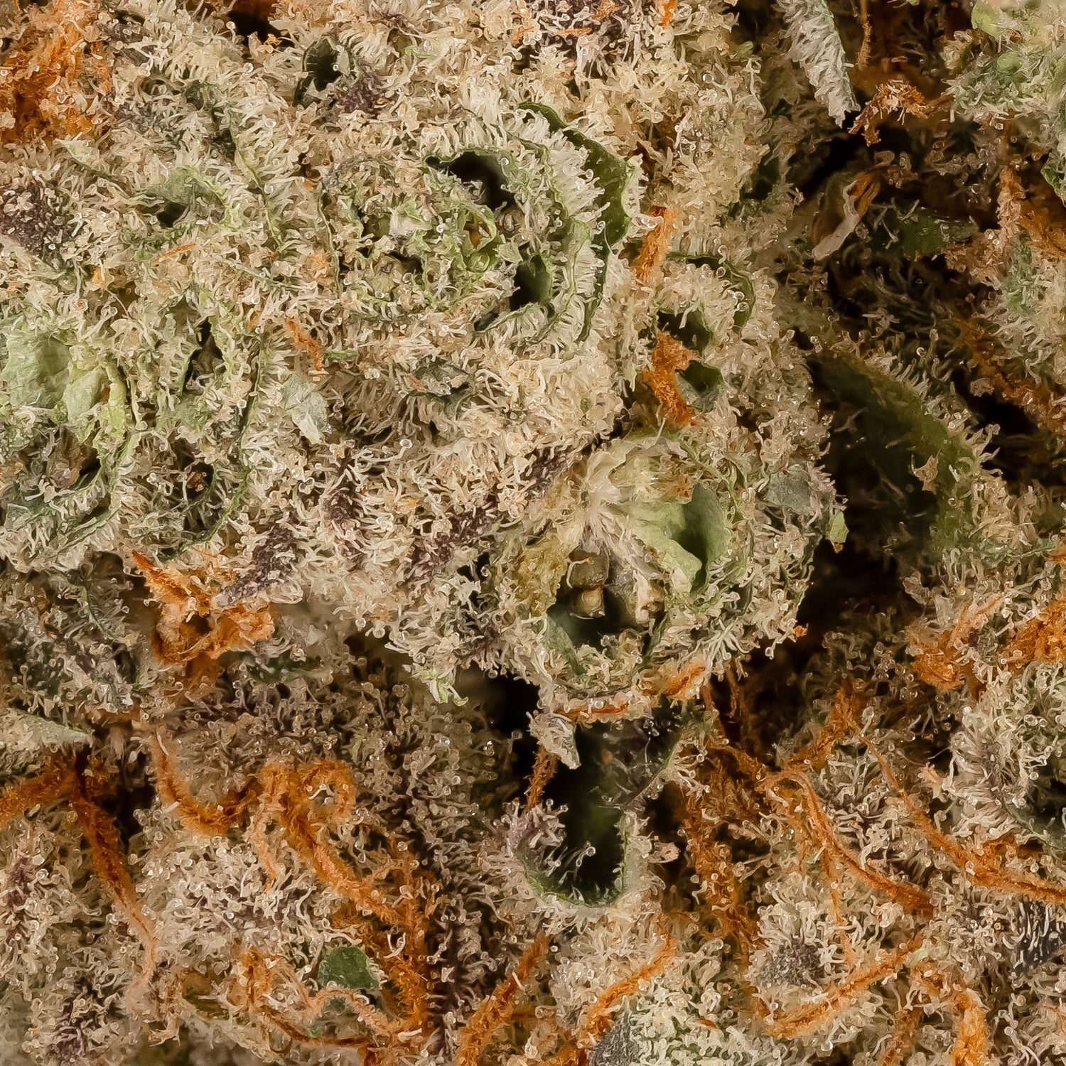 cream of the crop – strawberry jam