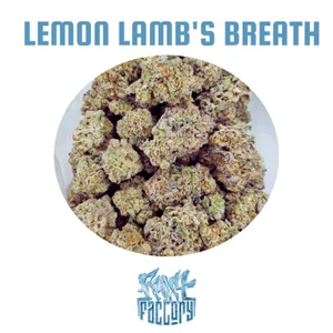 Frost Factory - Cold Cured Quads (14g) - Image 24