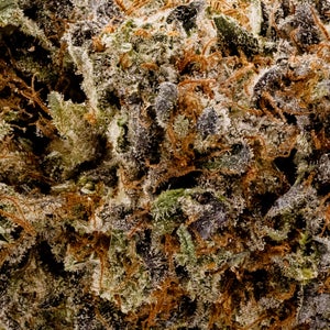 Albatross - Joplin - Image 5