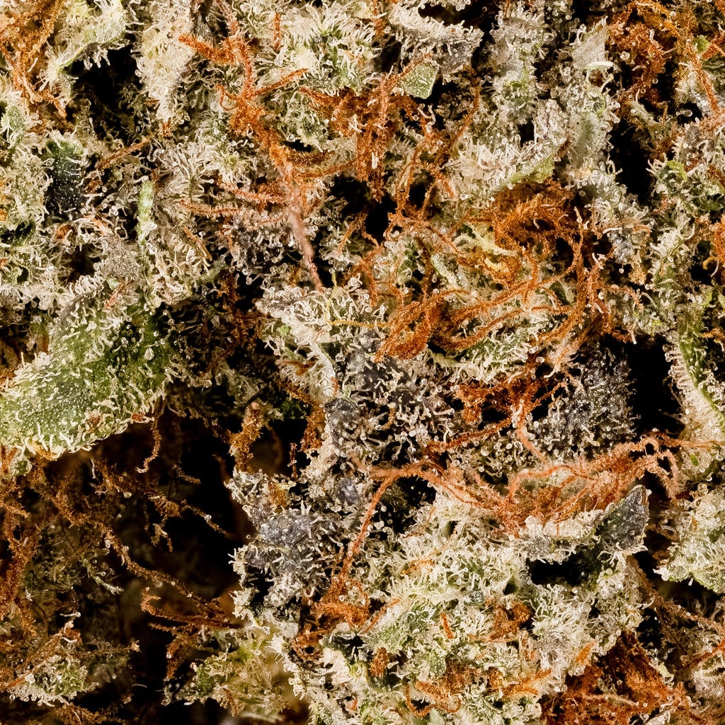 Albatross - Joplin
