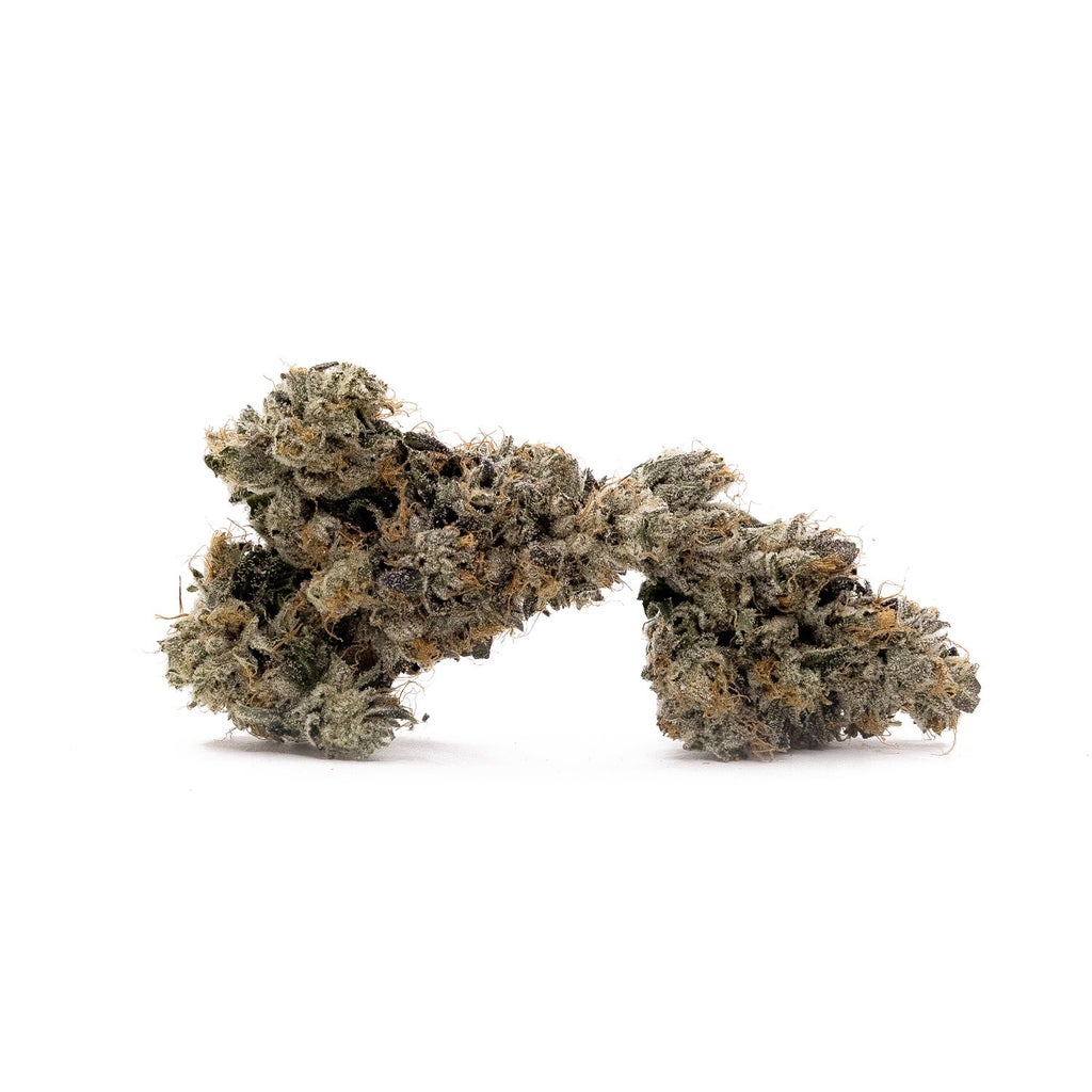 Albatross - Purple "Coffee" Kush
