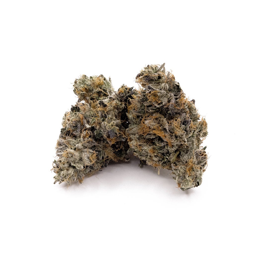 Albatross - Purple "Coffee" Kush