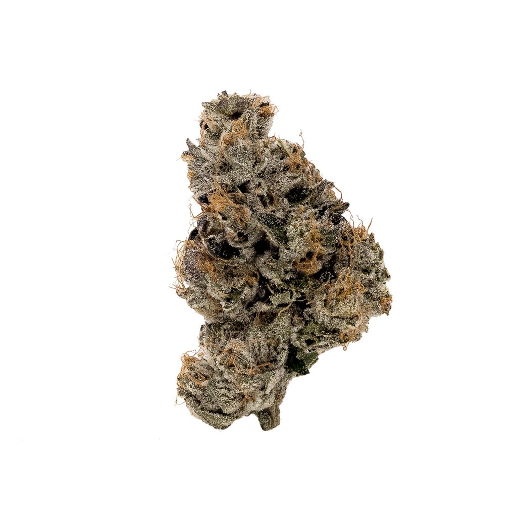 Albatross - Purple "Coffee" Kush