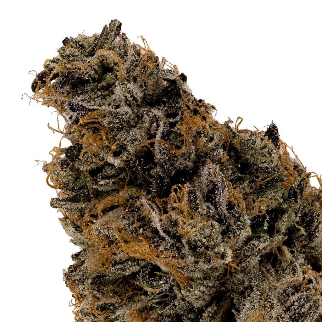 Albatross - Purple "Coffee" Kush