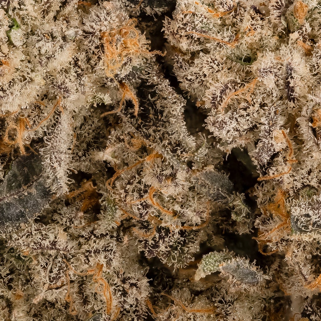 Hoot Cannabis - Cake Bomb