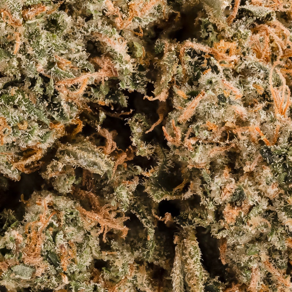 Superdank - Gas Mask