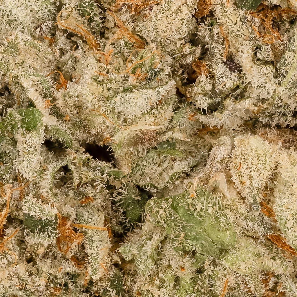 Hoot Cannabis - Ice Cream Zundae