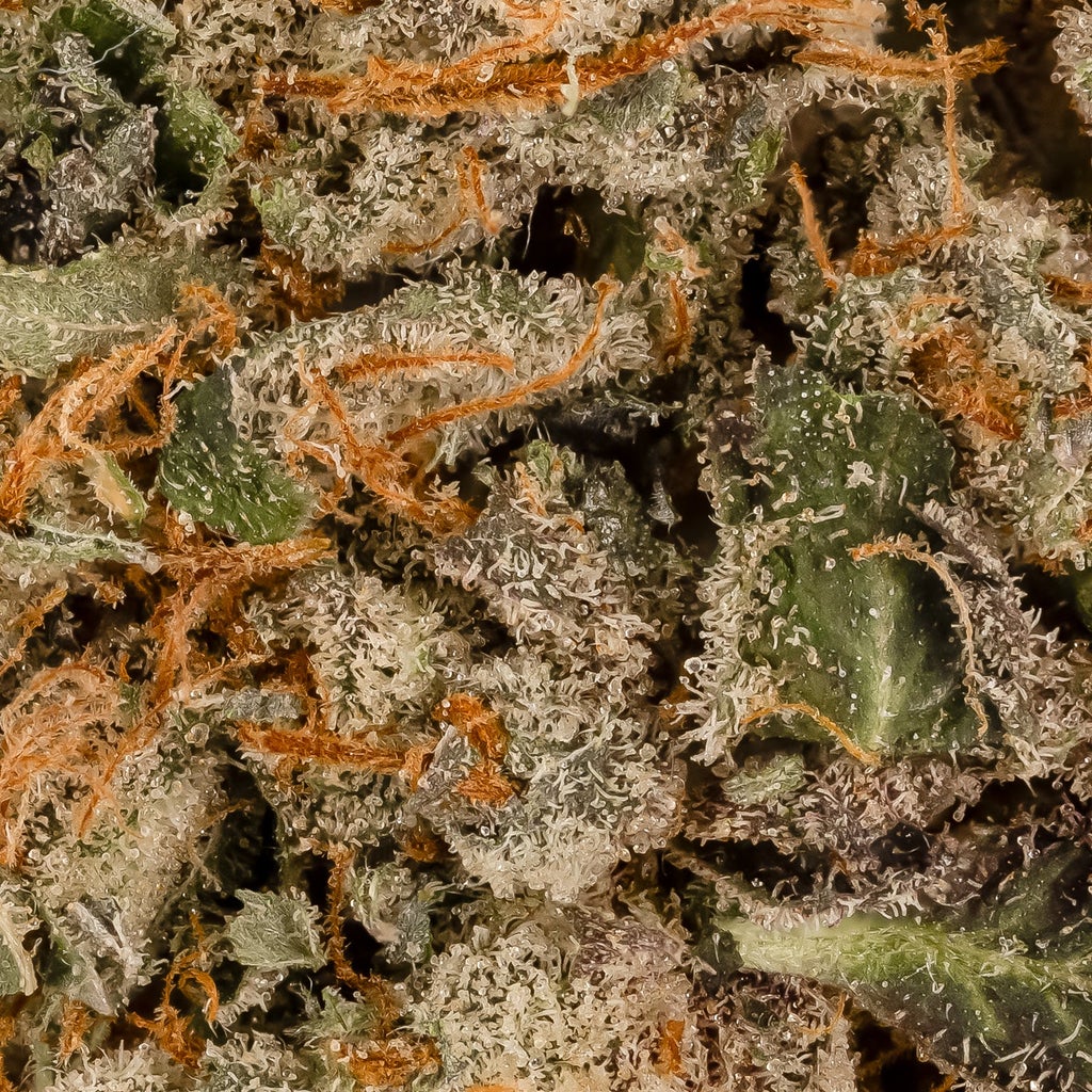 Lucky Farms - Rockstar