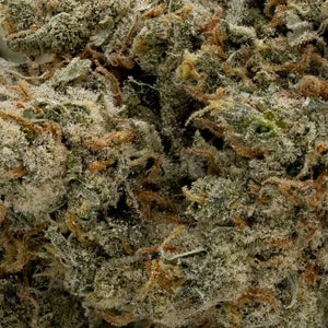 Super Lemon Haze (Hoot Cannabis) - Image 6