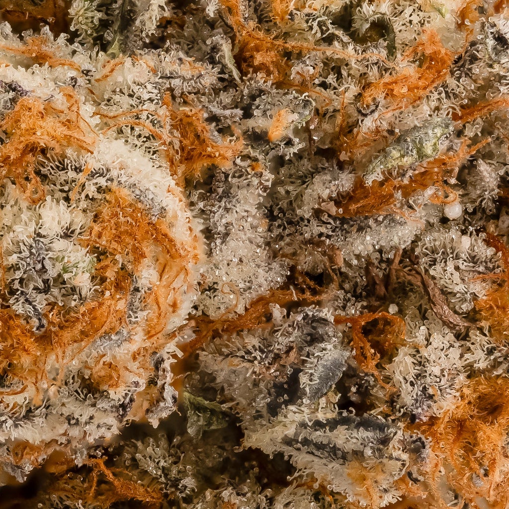 Hoot Cannabis - Zero Gravity