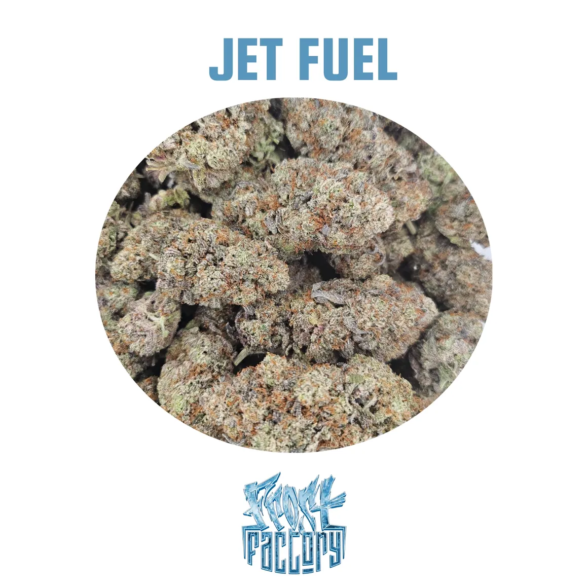 Frost Factory - Cold Cured Quads (14g) - Image 16