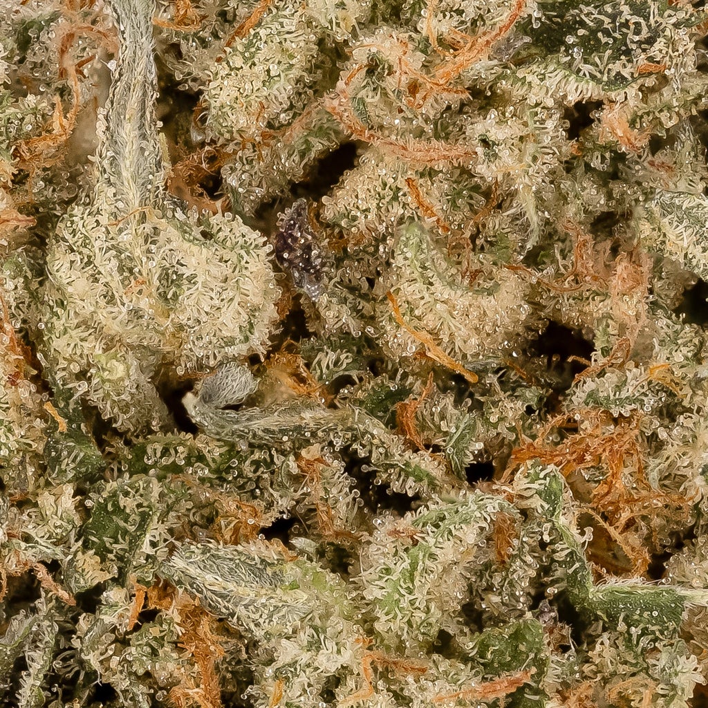 Lucky Farms - Alaskan Thunder Fuck